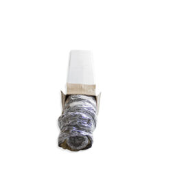 Xflex Isolado